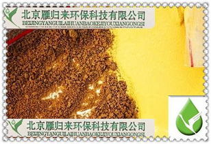 烟台聚合硫酸铁应用领域与环保技术开发